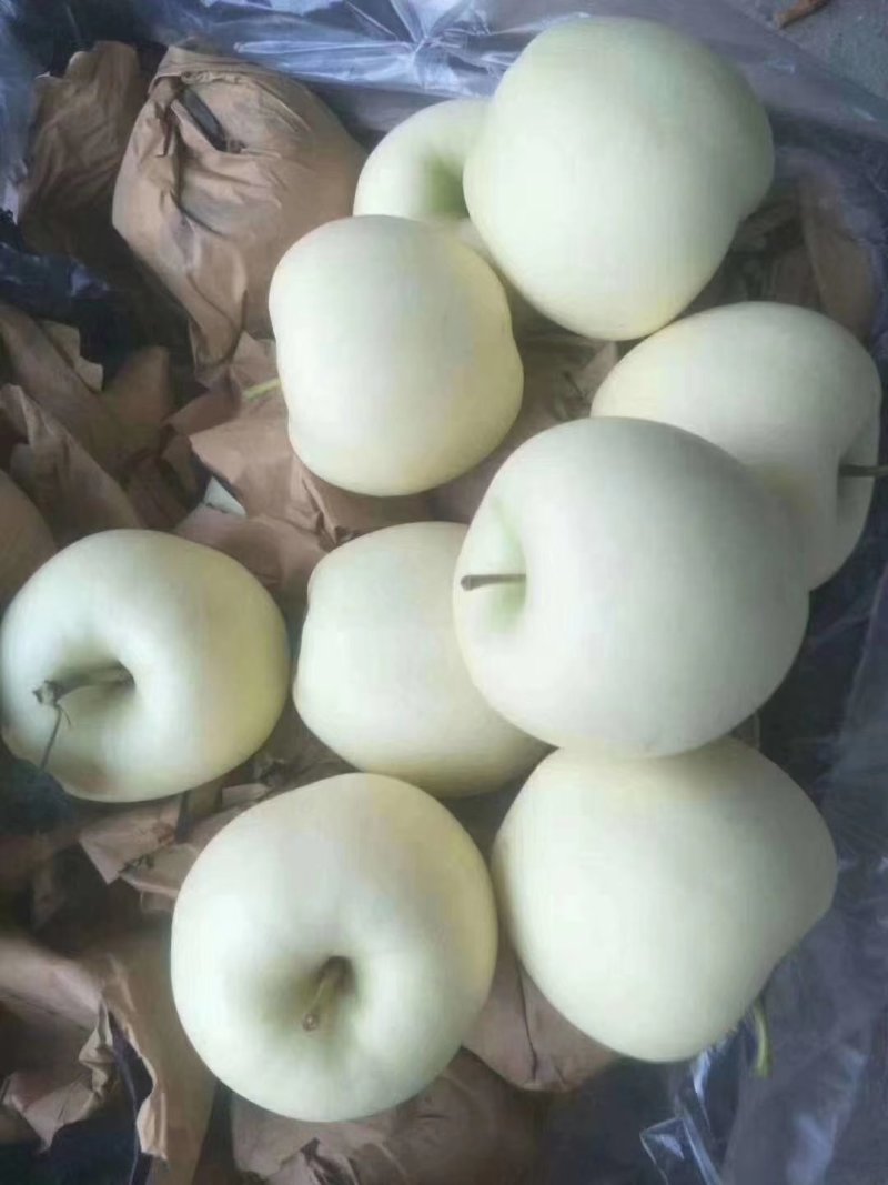 黄元帅