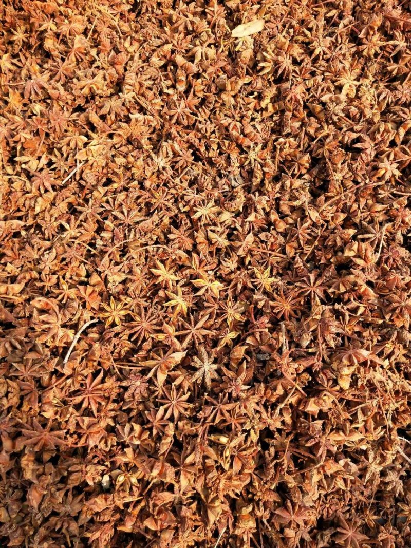 大红八角硫磺果质量太大果头了