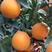 湖北纽荷尔橙子水分充足口感甜果园看货看中现采