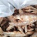 餐条鱼干