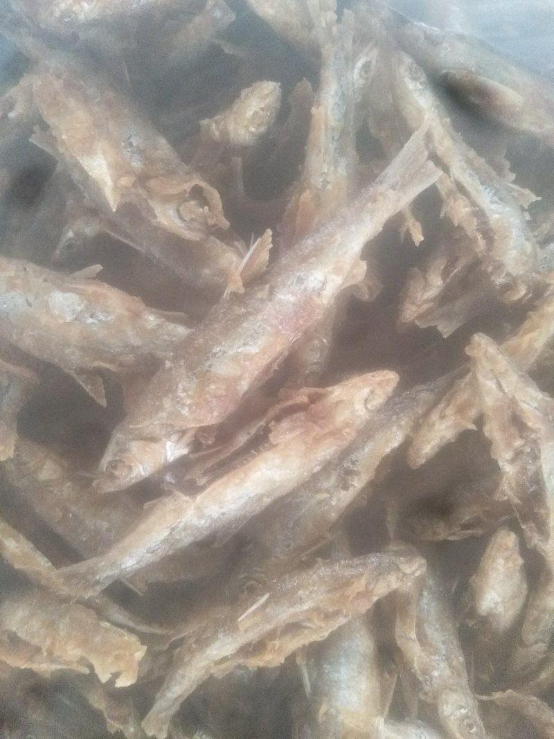 餐条鱼干