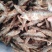 餐条鱼干