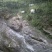 原生态富硒山羊