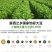 痛风人群可以吃的豆腐
