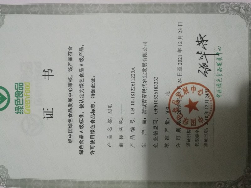 高石脆瓜