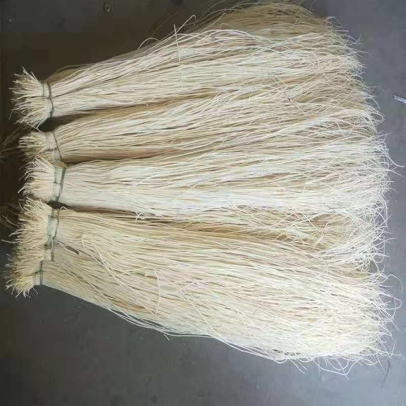 心草全国最大万亩灯心草基地.