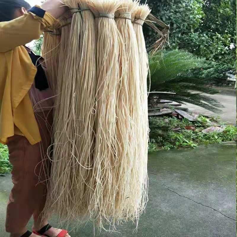 心草全国最大万亩灯心草基地.