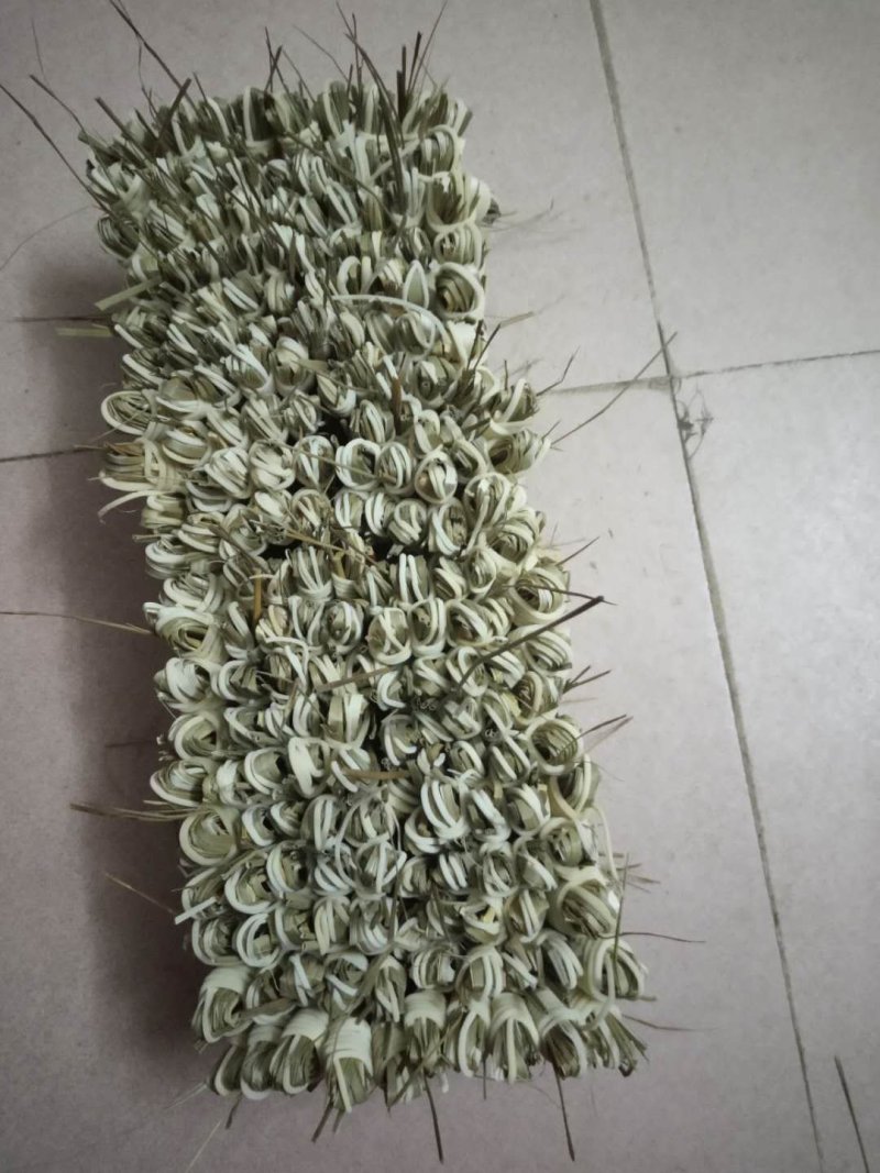心草全国最大万亩灯心草基地.