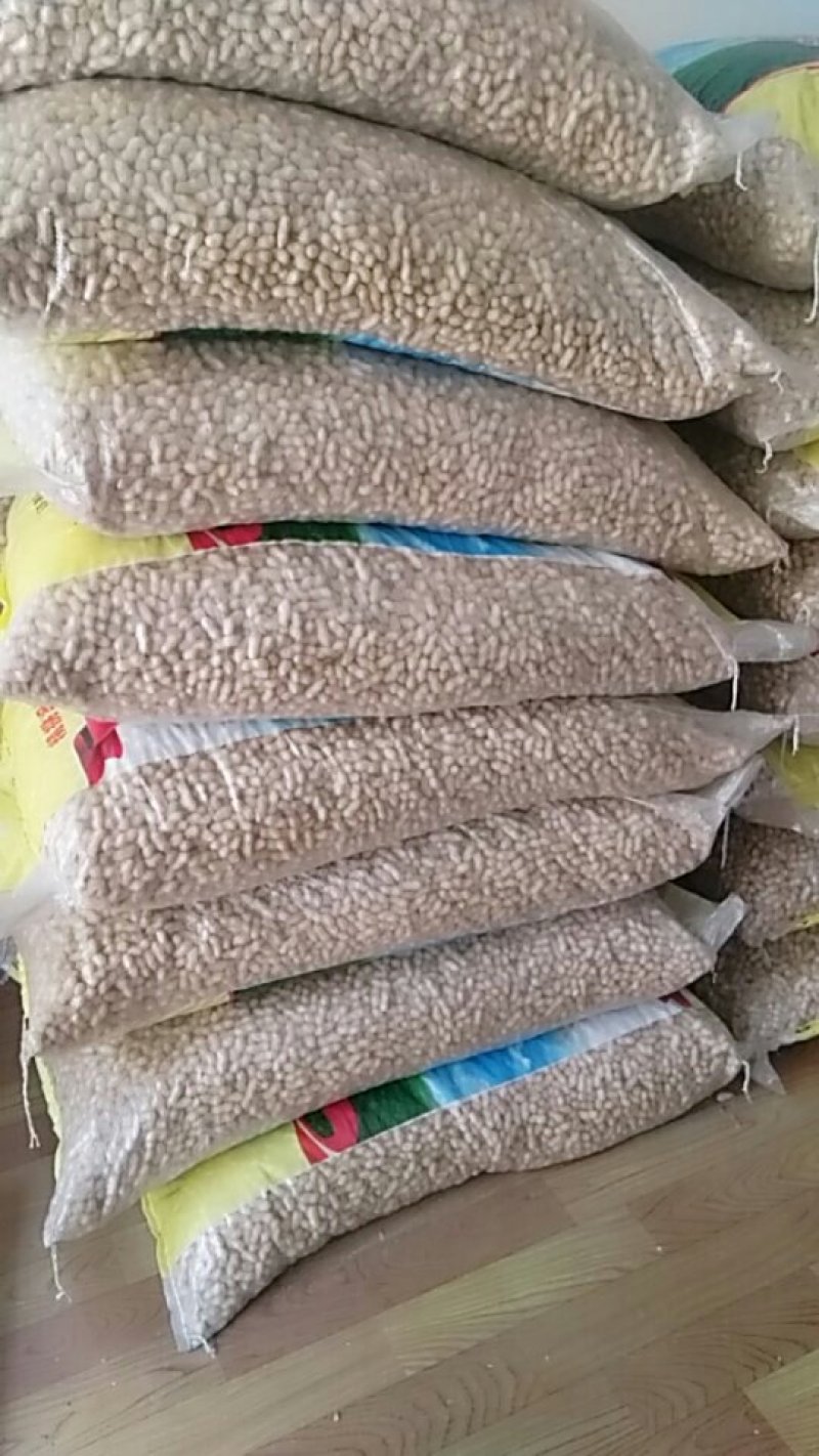 小花生，颗粒饱满，色译亮丽