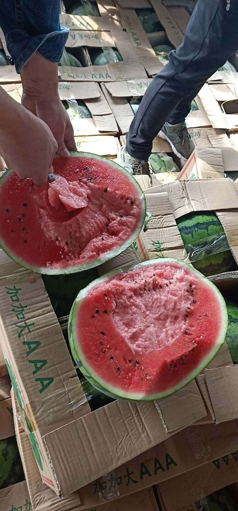 甜王西瓜