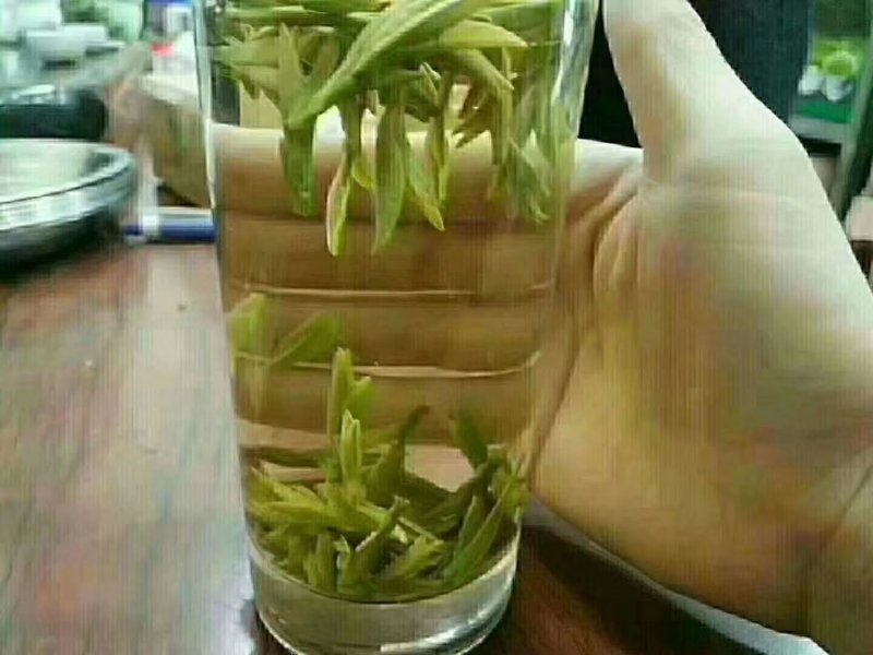 会稽高山龙井茶/明前茶/谷雨茶