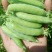 河南南阳豌豆荚饱满、无斑，量大从优，豌豆荚6～8厘米