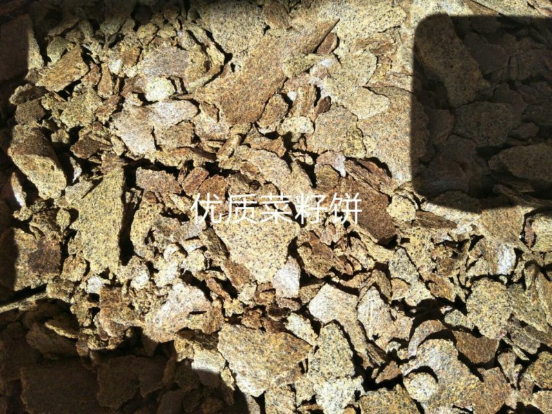 熟榨新疆棉籽饼，无杂，无水片状，养殖场或肥料的**
