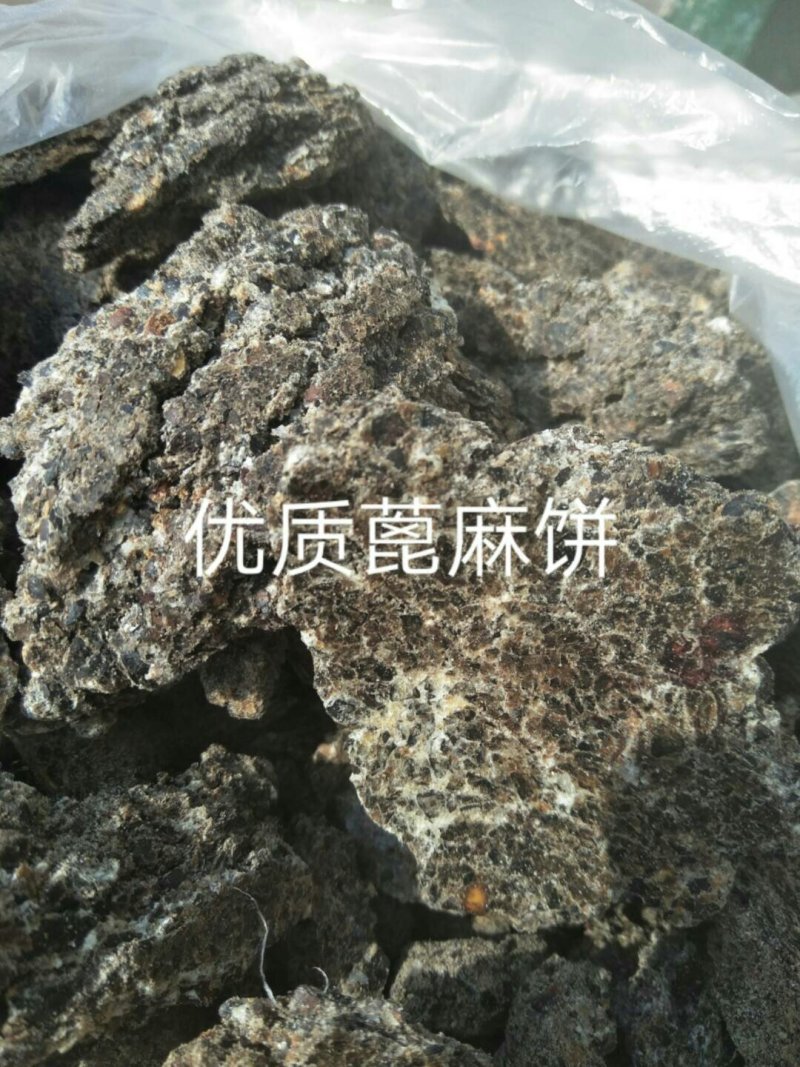 熟榨新疆棉籽饼，无杂，无水片状，养殖场或肥料的**