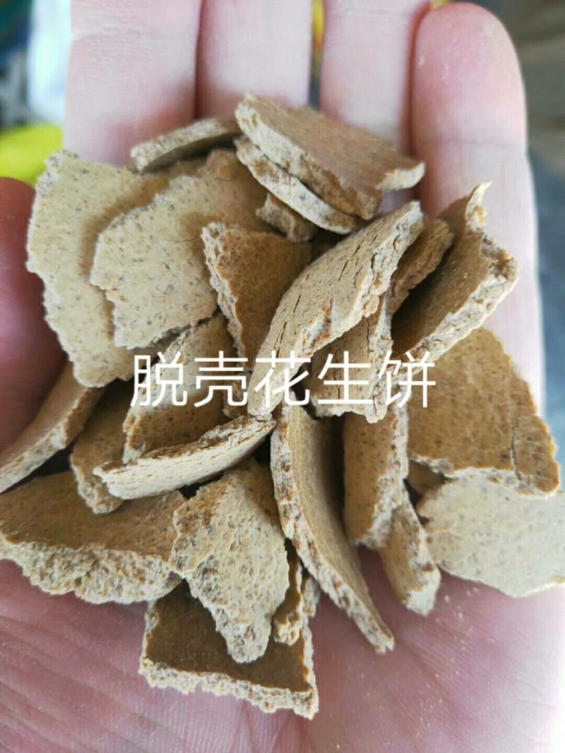 熟榨新疆棉籽饼，无杂，无水片状，养殖场或肥料的**