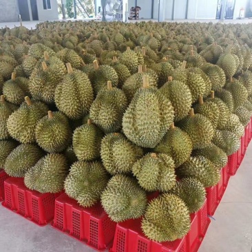 榴莲