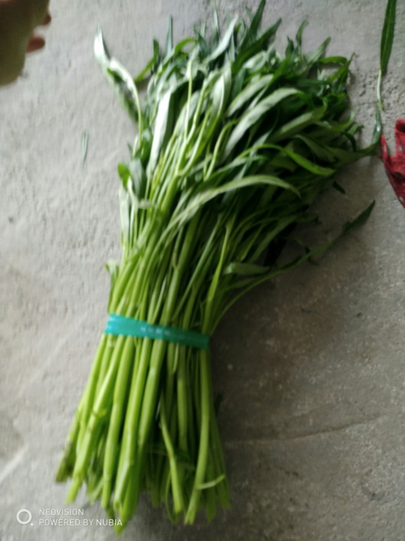 青梗空心菜