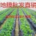 反光膜防草地膜黑白膜