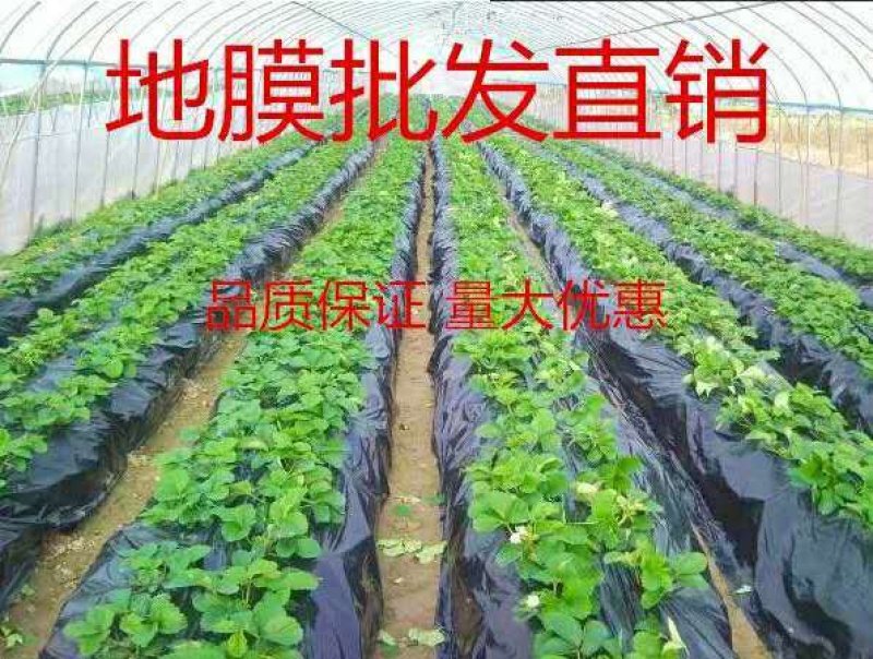 反光膜防草地膜黑白膜