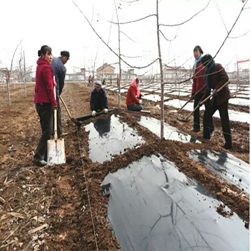 反光膜防草地膜黑白膜