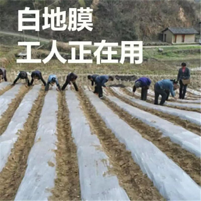 反光膜防草地膜黑白膜