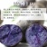 黑土豆五斤发货