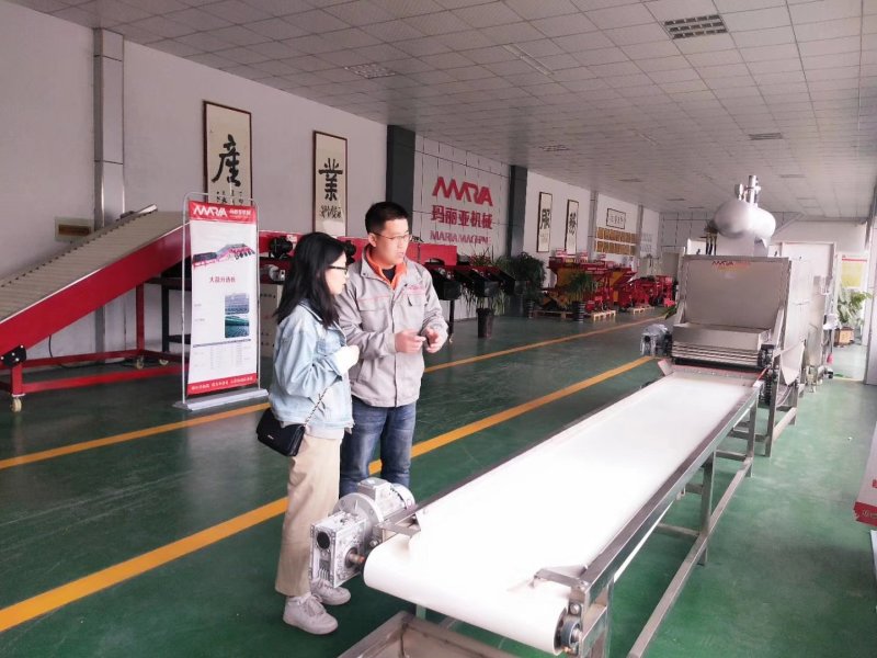 玛丽亚200公斤蒜米去皮机去皮机质量好价格优欢迎来电