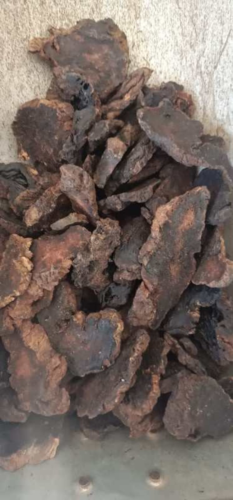 生地生地黄河南生地黄片批发零售各种规格中药材