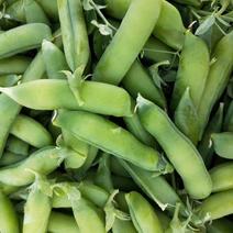 湖北省宜城市豌豆荚大量上市！口感很好，价格便宜。