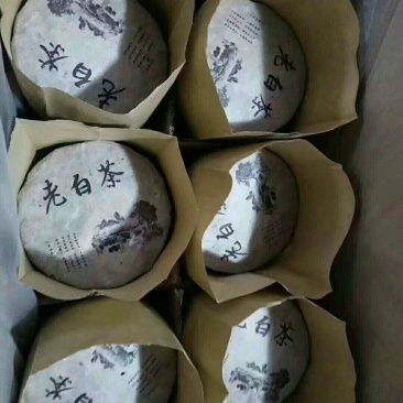 2015年高山生态老白茶