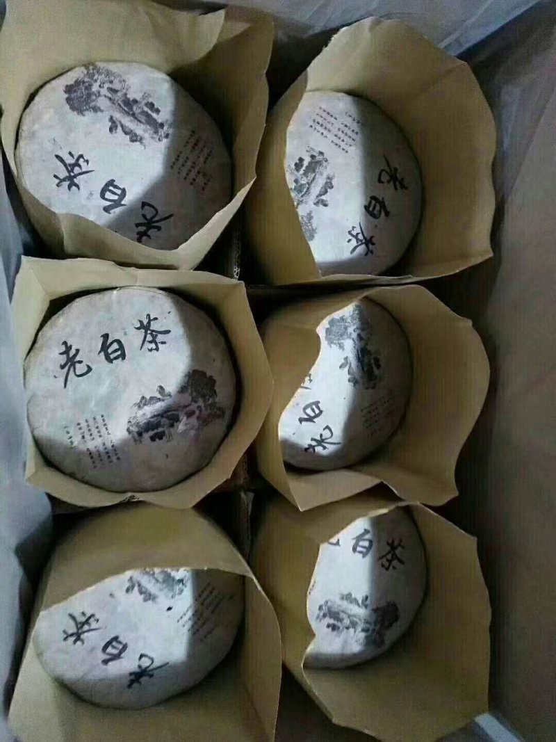 2015年高山生态老白茶