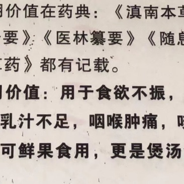 新鲜无花果
