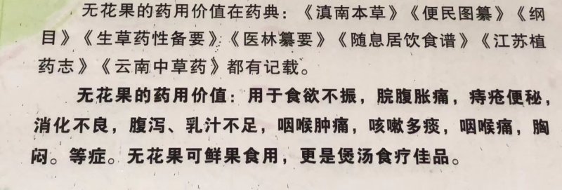 新鲜无花果
