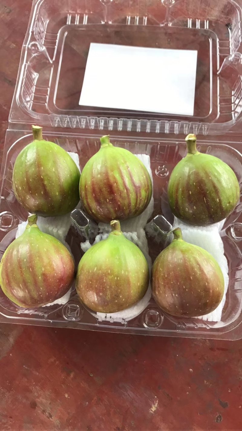 新鲜无花果