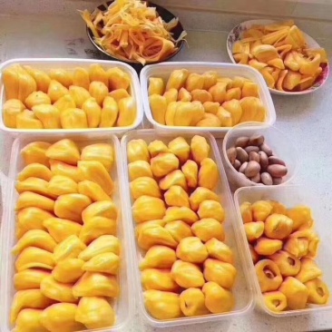 水果王后菠萝蜜