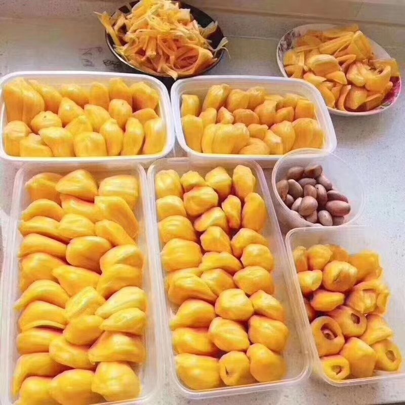 水果王后菠萝蜜
