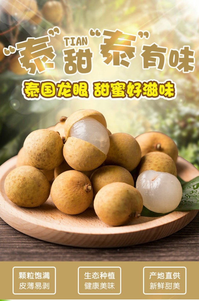 泰国龙眼五斤发货