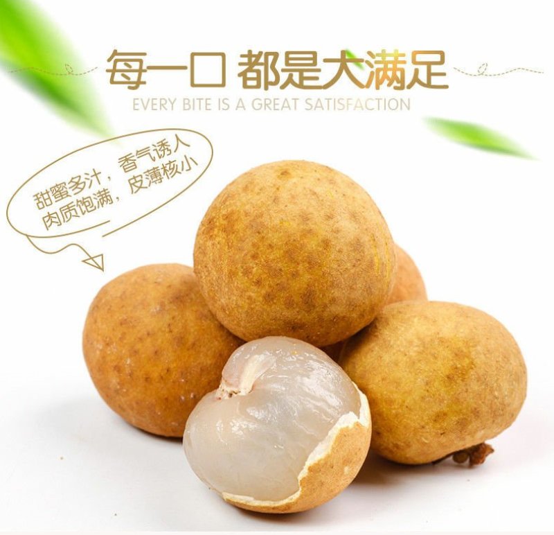 泰国龙眼五斤发货