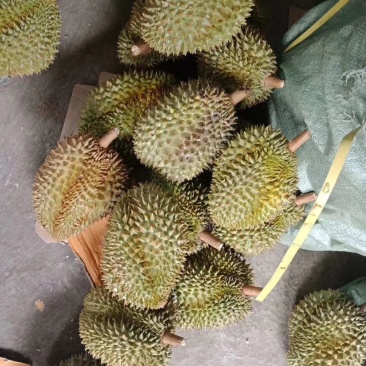 泰国金枕