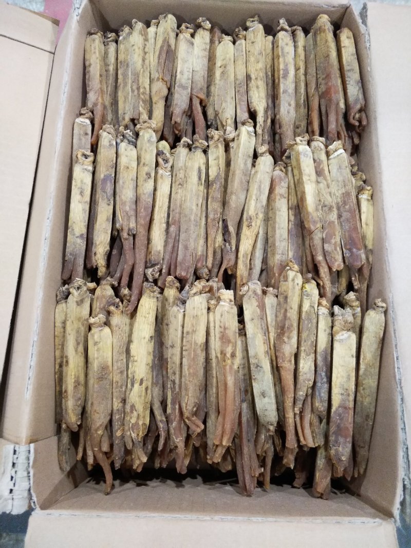 长白山高丽参压块单支（20支），自产自销，质量保证。