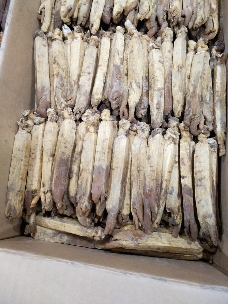 长白山高丽参压块单支（20支），自产自销，质量保证。