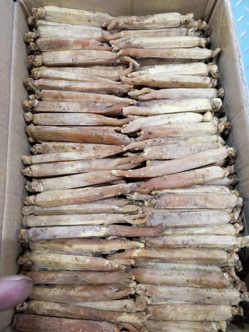 长白山高丽参压块单支（20支），自产自销，质量保证。