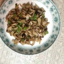 1234级黑鸡枞