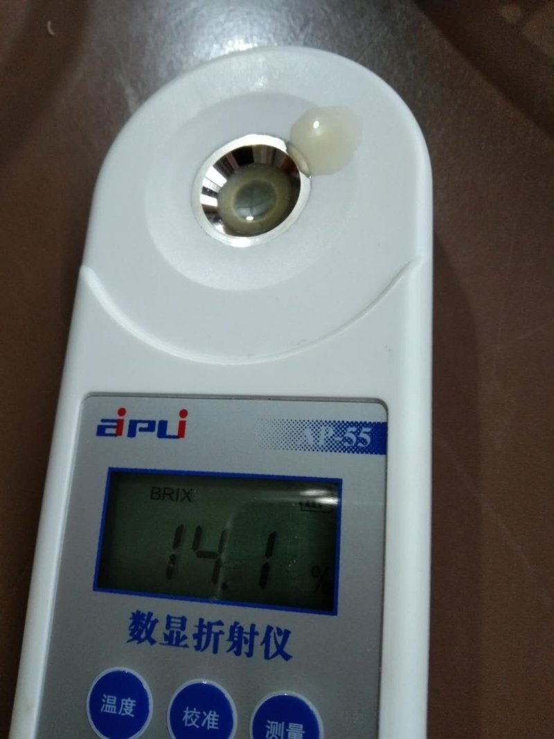 高石脆瓜