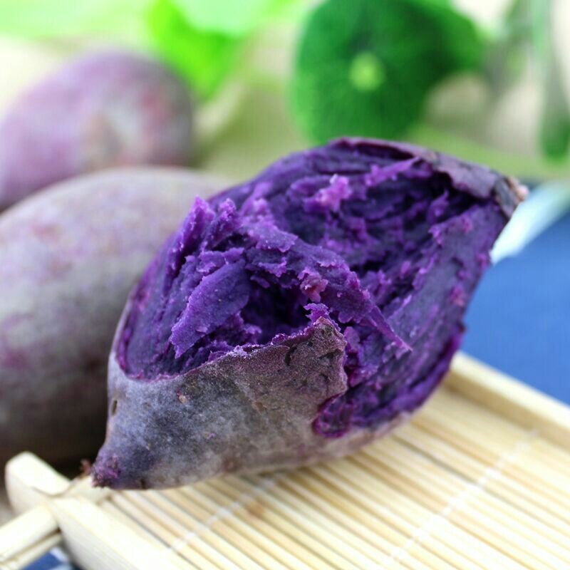 红薯秧苗