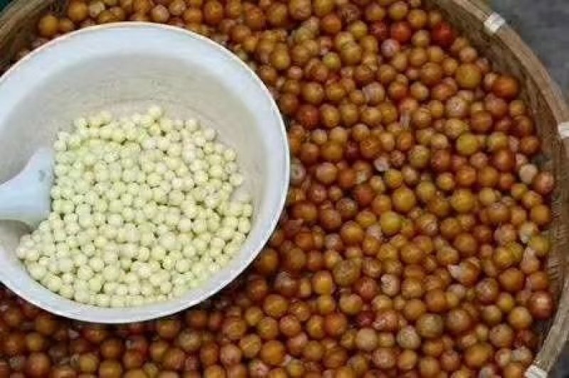 纯品苏芡手工特大粒鲜芡实米