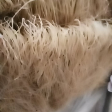 粉丝