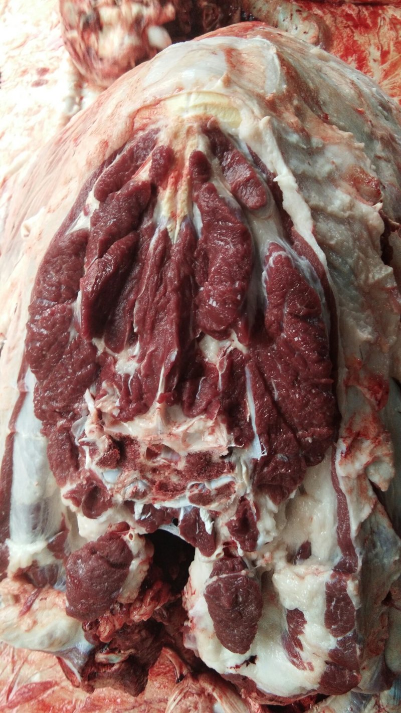 批发鲜驴肉