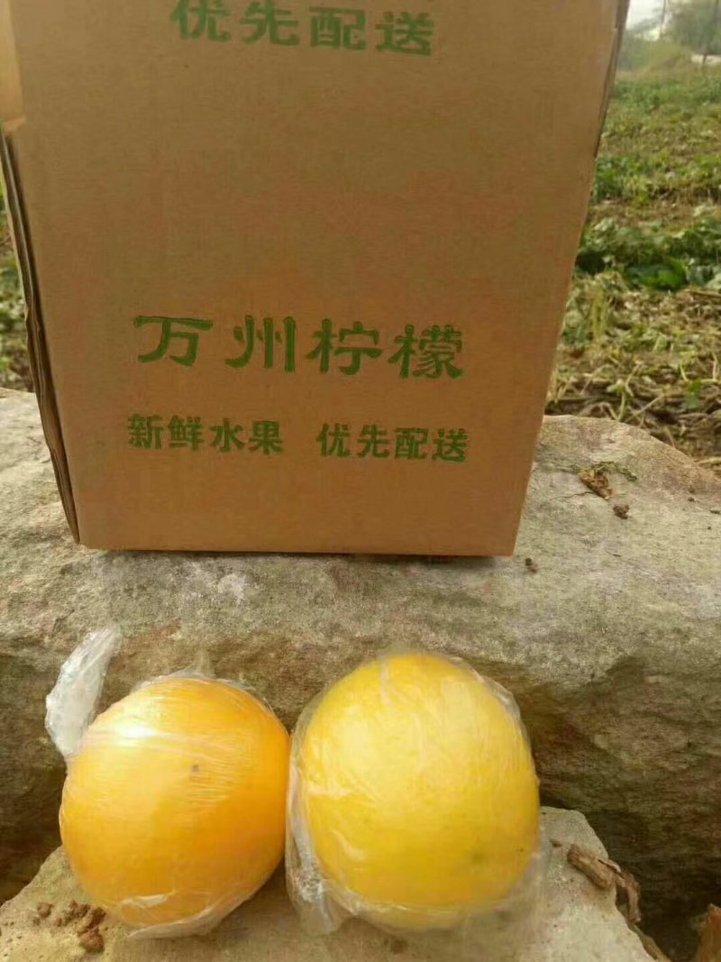 万州柠檬，13.9元／5斤（15个左），一级果全国包邮