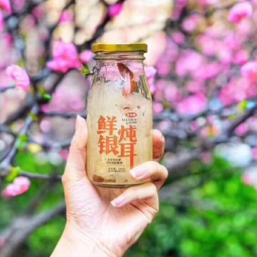 网红爆品，王小珥，新银耳炖。一件代发，代理价27元